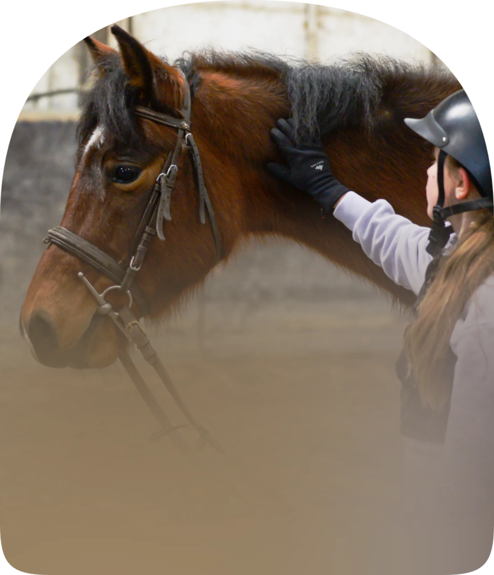 L'Arche de Noé | Équitation pour Tous Âges et Niveaux • Adolescents