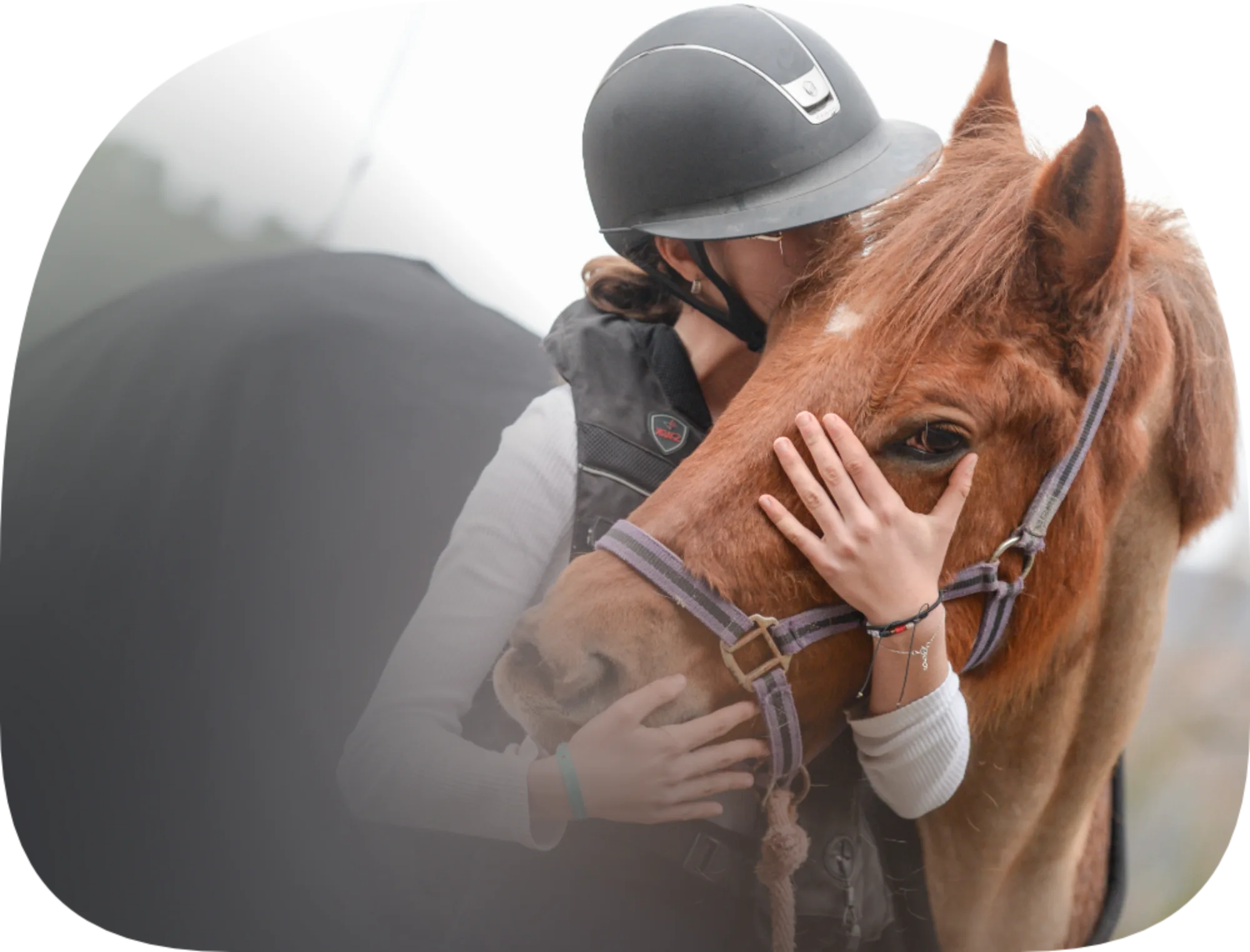 L'Arche de Noé | Équitation pour Tous Âges et Niveaux • Cours