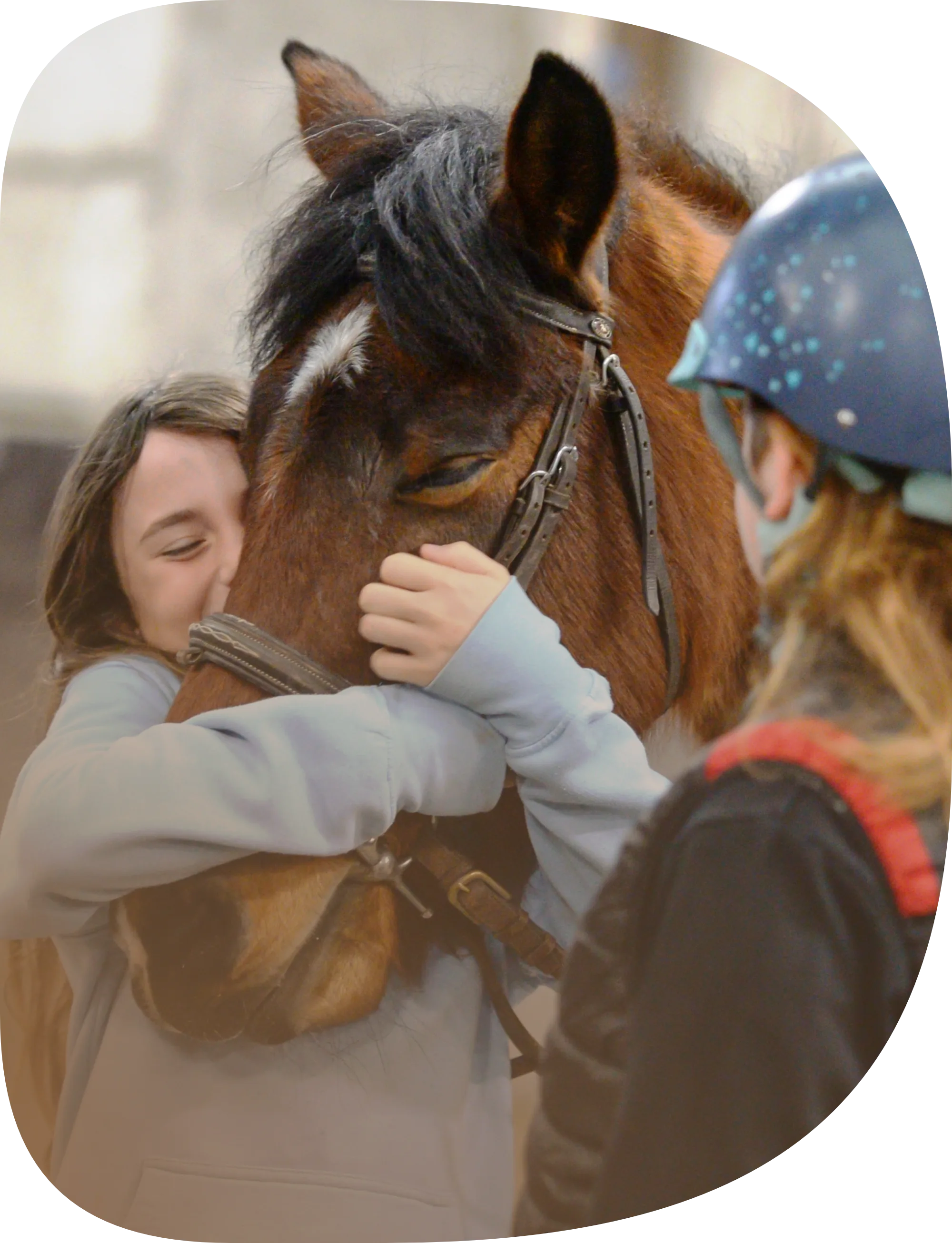 L'Arche de Noé | Équitation pour Tous Âges et Niveaux • Premier cours