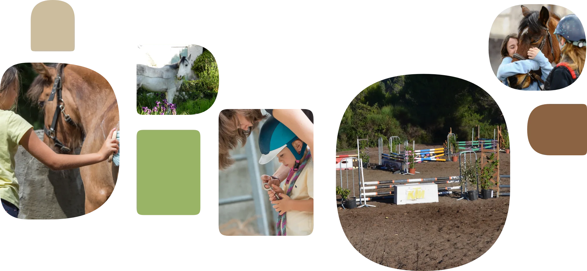 L'Arche de Noé | Équitation pour Tous Âges et Niveaux • Visuel dintroduction