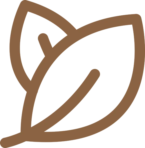 L'Arche de Noé | Équitation pour Tous Âges et Niveaux • Se ressourcer